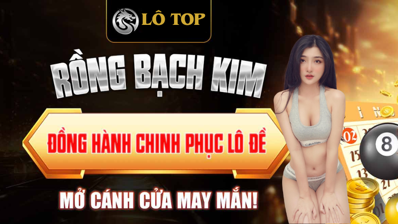 Đồng hành chinh phục lô đề